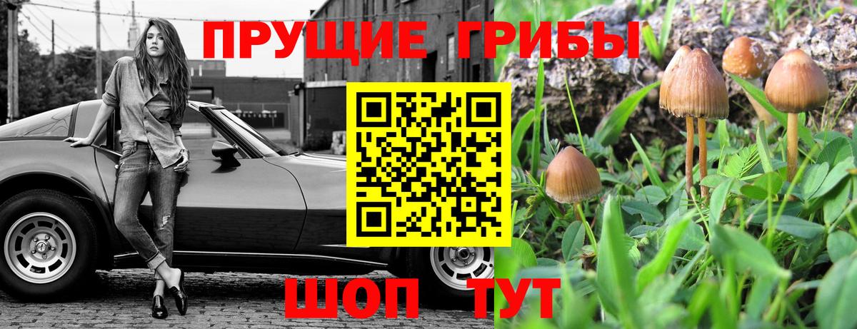 Кольчугино  Галлюциногенные грибы ЛСД  Псилоцибиновые грибы мицелий  Вход с VPN 