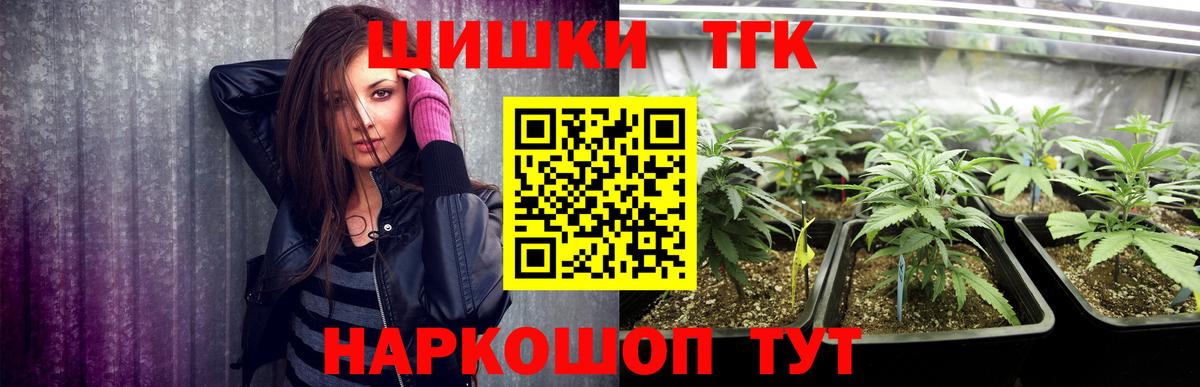 Каннабис сатива Кольчугино